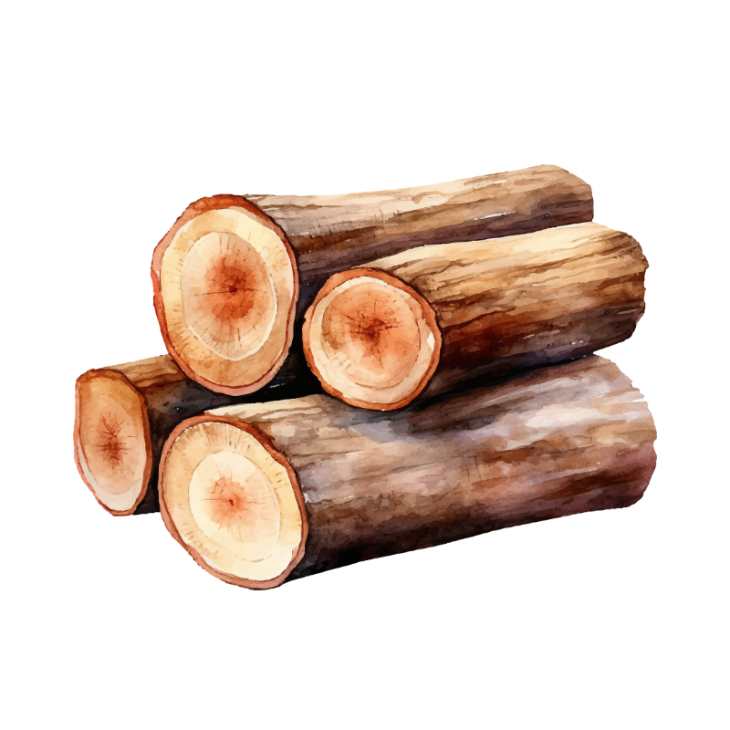 Titolo